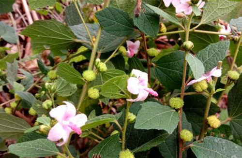 6205345905_d59a564256-160x160