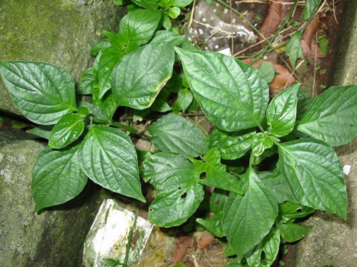 6205345905_d59a564256-160x160