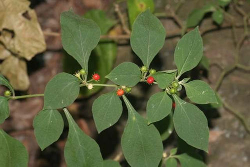 6205345905_d59a564256-160x160