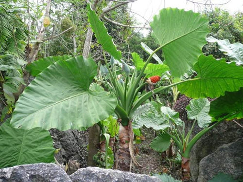 6205345905_d59a564256-160x160