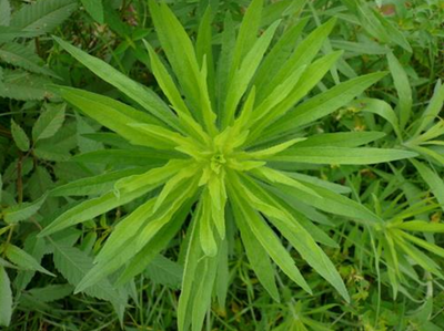 6205345905_d59a564256-160x160