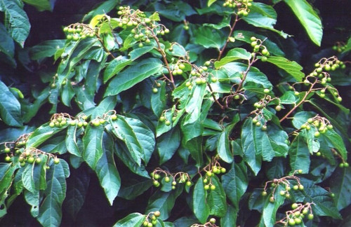 6205345905_d59a564256-160x160