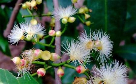 6205345905_d59a564256-160x160