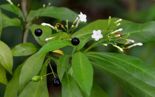 6205345905_d59a564256-160x160