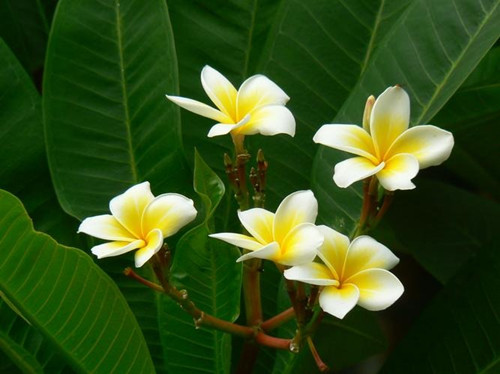 6205345905_d59a564256-160x160