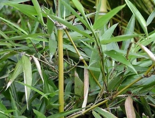 6205345905_d59a564256-160x160