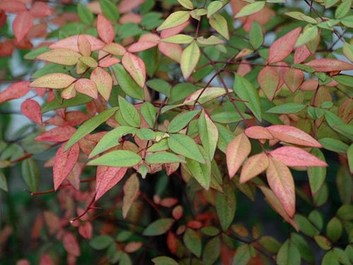 6205345905_d59a564256-160x160