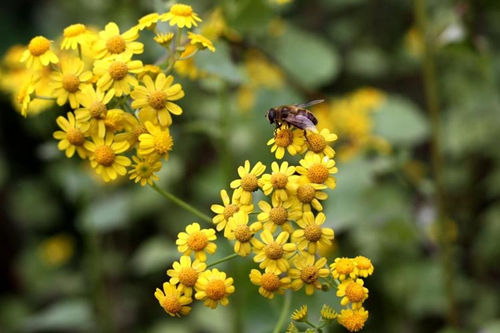 6205345905_d59a564256-160x160