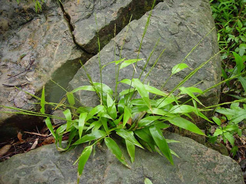 6205345905_d59a564256-160x160