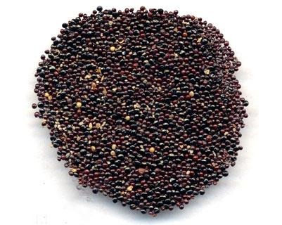 6205345905_d59a564256-160x160