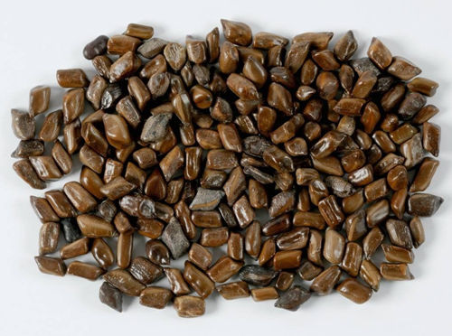 6205345905_d59a564256-160x160