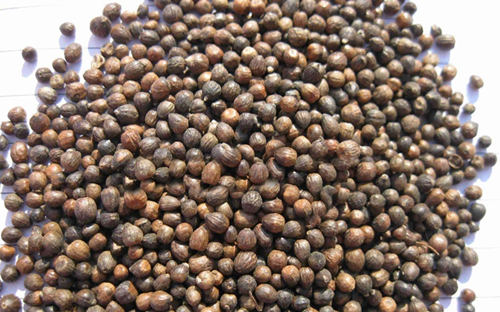 6205345905_d59a564256-160x160