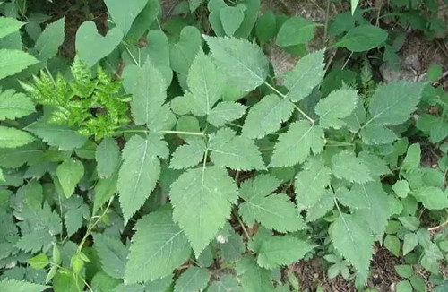 6205345905_d59a564256-160x160