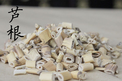 6205345905_d59a564256-160x160