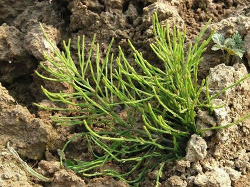 6205345905_d59a564256-160x160