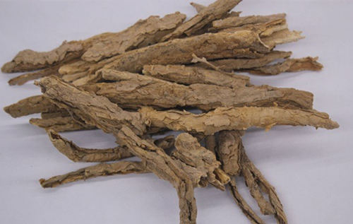 6205345905_d59a564256-160x160