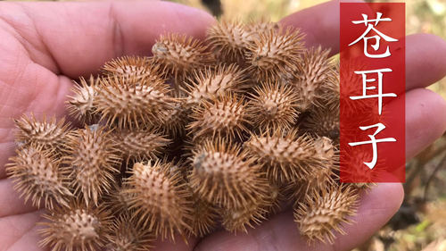 6205345905_d59a564256-160x160