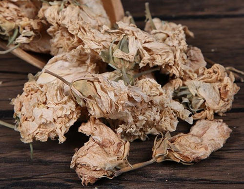 6205345905_d59a564256-160x160