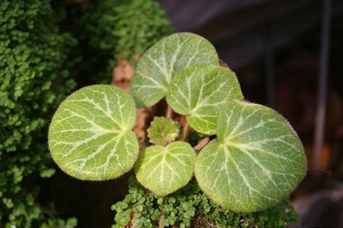 6205345905_d59a564256-160x160