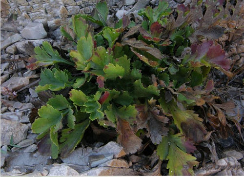 6205345905_d59a564256-160x160