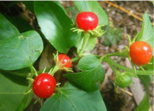 6205345905_d59a564256-160x160