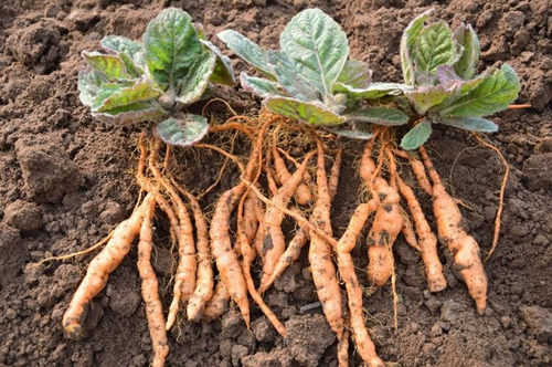 6205345905_d59a564256-160x160