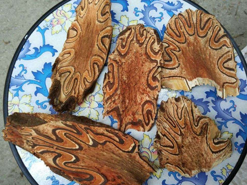 6205345905_d59a564256-160x160