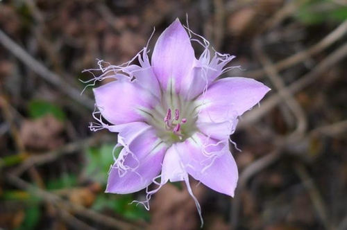 6205345905_d59a564256-160x160