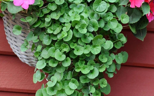 6205345905_d59a564256-160x160