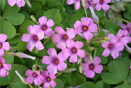 6205345905_d59a564256-160x160