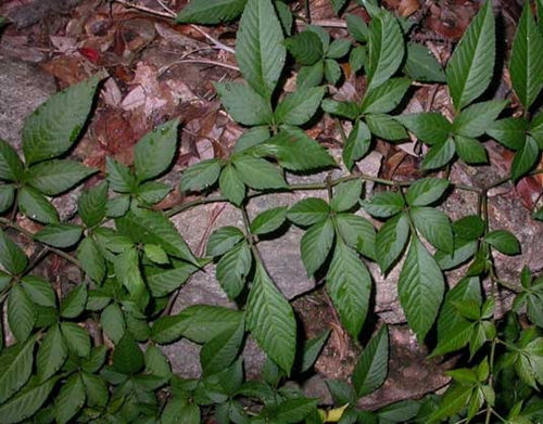 6205345905_d59a564256-160x160