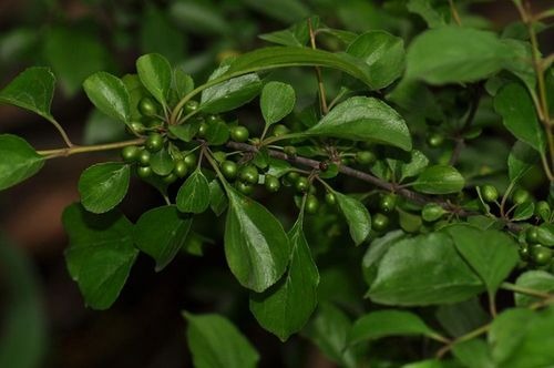 6205345905_d59a564256-160x160