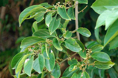 6205345905_d59a564256-160x160