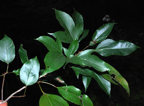 6205345905_d59a564256-160x160