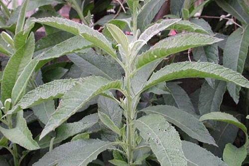 6205345905_d59a564256-160x160