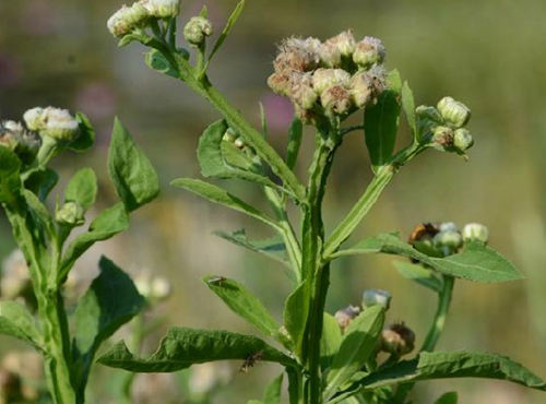 6205345905_d59a564256-160x160