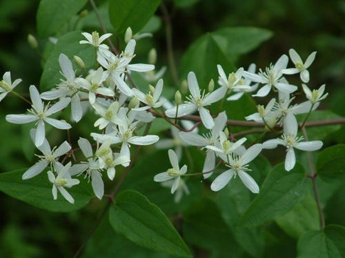 6205345905_d59a564256-160x160