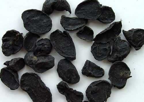 6205345905_d59a564256-160x160