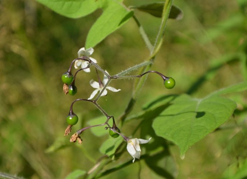 6205345905_d59a564256-160x160