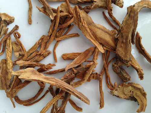 6205345905_d59a564256-160x160