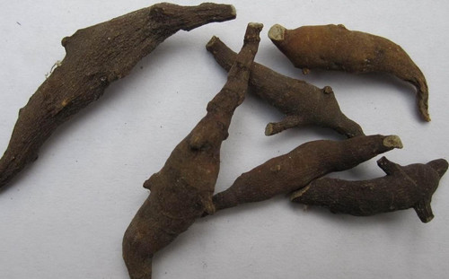 6205345905_d59a564256-160x160