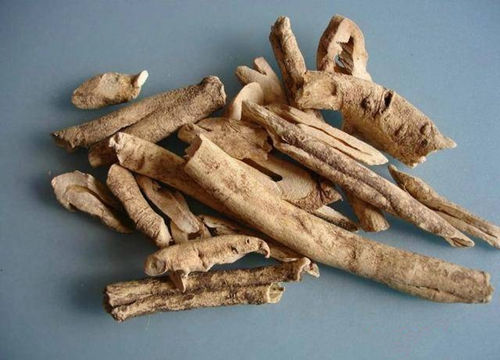 6205345905_d59a564256-160x160