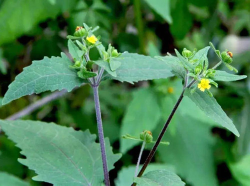 6205345905_d59a564256-160x160