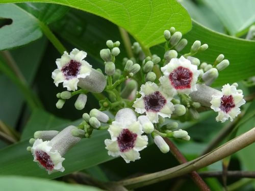 6205345905_d59a564256-160x160