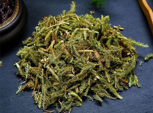 6205345905_d59a564256-160x160