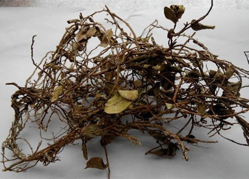 6205345905_d59a564256-160x160