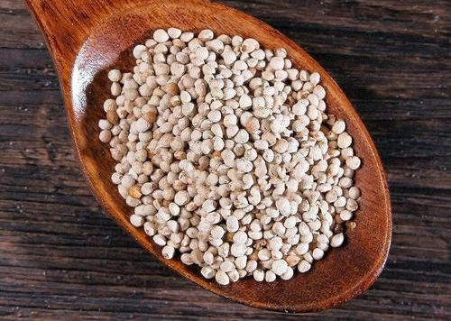 6205345905_d59a564256-160x160