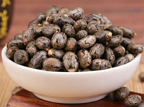 6205345905_d59a564256-160x160