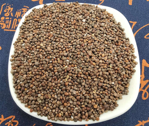 6205345905_d59a564256-160x160