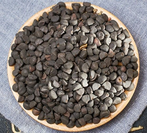 6205345905_d59a564256-160x160